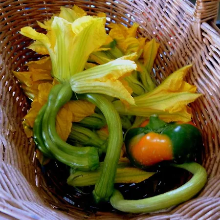 Agriturismo I Calanchi Bastia Mondovì